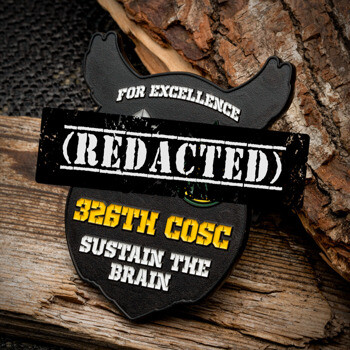 Black shield-shaped challenge coin featuring yellow 326th COSC text and Sustain the Brain motto on a wood background.