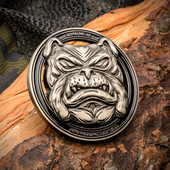 Antiqued silver 3D bulldog face challenge coin with 602nd MCAS text, displayed on a piece of wood against camouflage background.