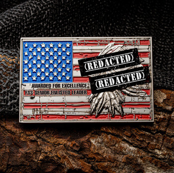 Rectangular challenge coin featuring the American flag, an eagle with feathers, and the text FSS Senior Enlisted Leader Awarded for Excellence.